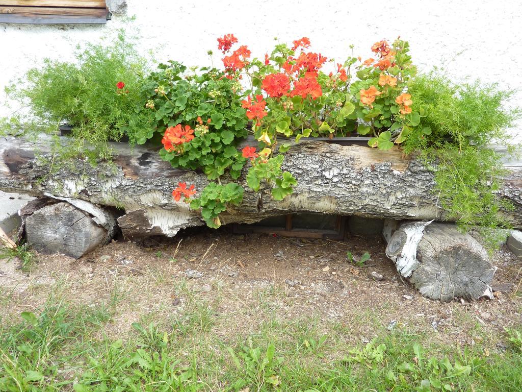 Bio-Bauernhof Rettenbachgut Werfen Exterior photo